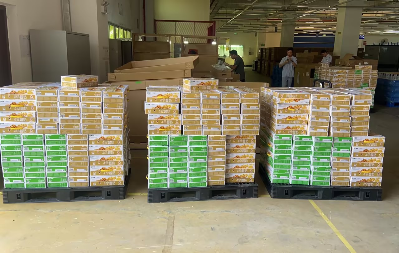 k8����(�й�)����Ӯ�ҡ�һ������